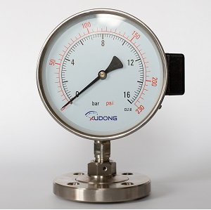 Manómetro de diafragma de resorte para presión diferencial