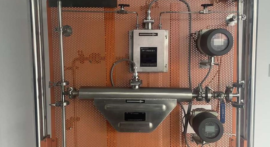 Caudalímetros Coriolis para aceite alquídico Coriolis Flow Meters for Alkyd Oil